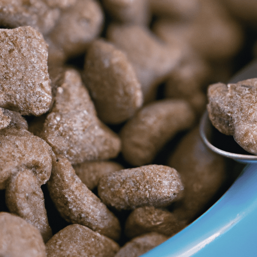 The Future of Dog Food: Exploring Trends and Innovations