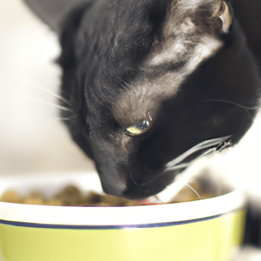 Raw Feeding: Is It a Good Option for Your Cat?