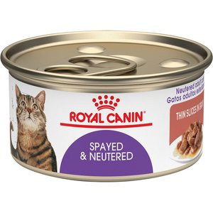 Royal Canin Feline Health Nutrition Spayed/Neutered Thin Slices in Gravy Canned Cat Food