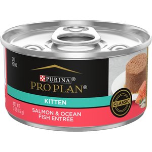 Purina Pro Plan Kitten Classic Salmon & Ocean Fish Entree Canned Cat Food