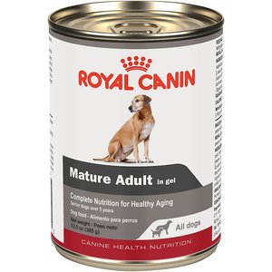 Royal Canin Mature Adult in Gel Canned Dog Food