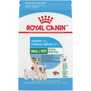 Royal Canin Size Health Nutrition Small Starter Mother And Babydog Dry Dog Food