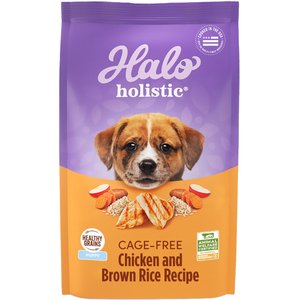 Halo Holistic Complete Digestive Health Chicken & Brown Rice Recipe Puppy Dry Dog Food