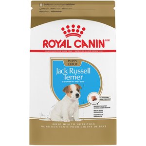 Royal Canin Breed Health Nutrition Jack Russell Terrier Puppy Dry Dog Food