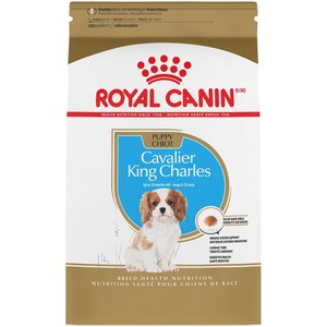 Royal Canin Breed Health Nutrition Cavalier King Charles Puppy Dry Dog Food