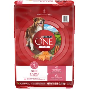 Purina ONE +Plus Adult Skin & Coat Formula Dry Dog Food